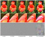 An Improved Guided Filtering Algorithm for Image Enhancement