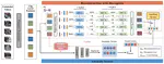 Feature Reconstruction with Disruption for Unsupervised Video Anomaly Detection