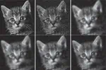 Extended Guided Image Filtering For Contrast Enhancement