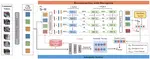 Feature Reconstruction with Disruption for Unsupervised Video Anomaly Detection